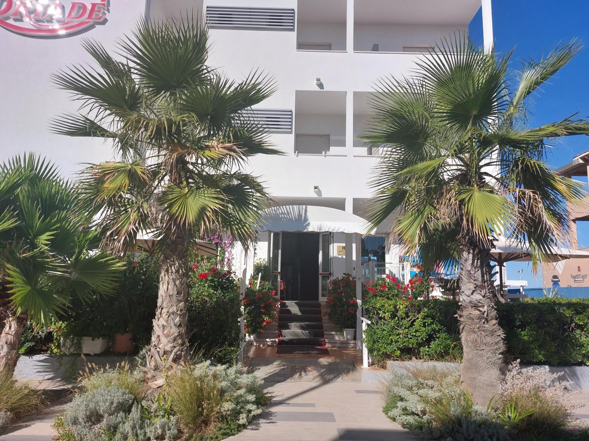 Hotel Driade Sul Mare ริมินี ภายนอก รูปภาพ