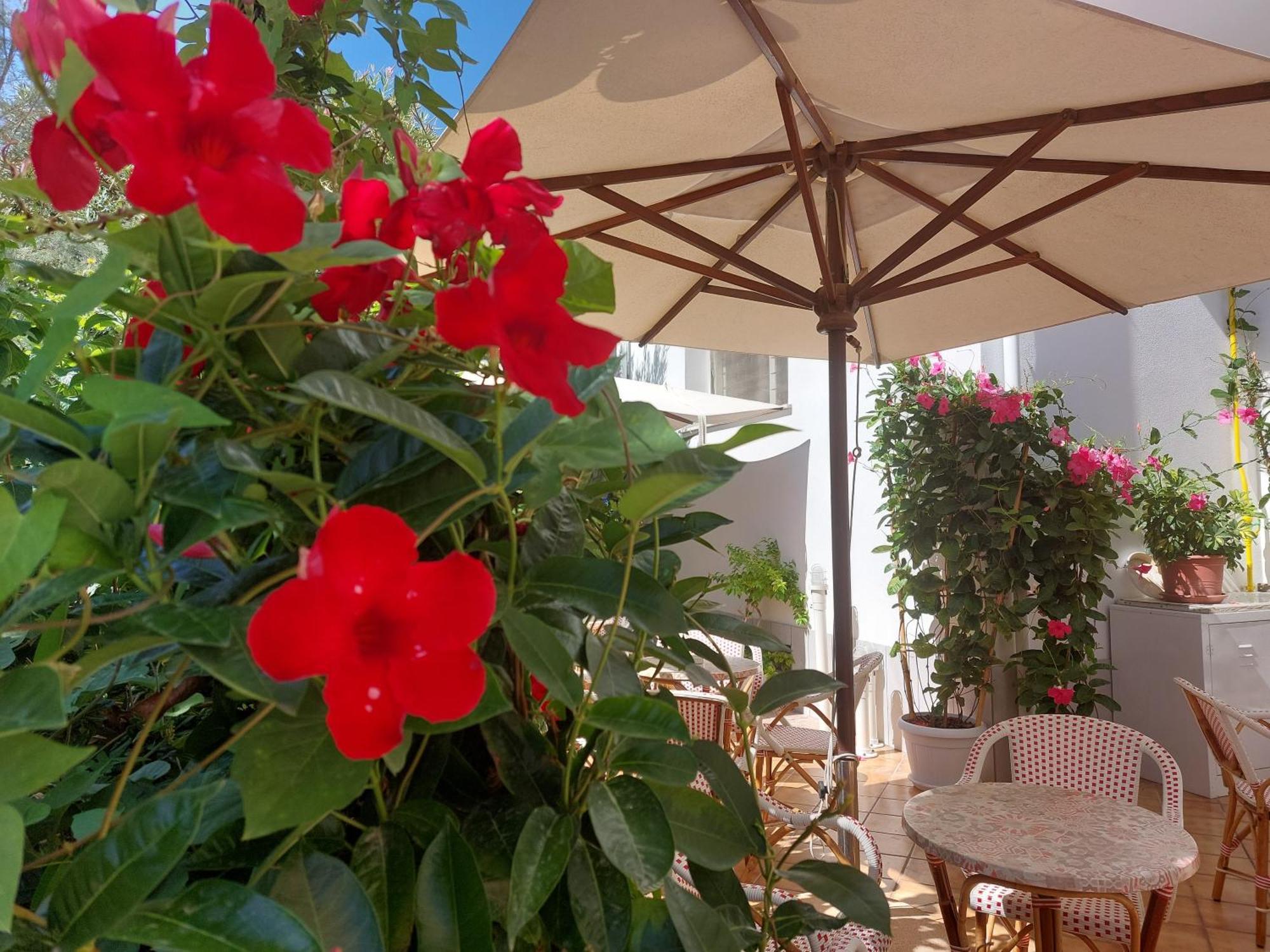 Hotel Driade Sul Mare ริมินี ภายนอก รูปภาพ